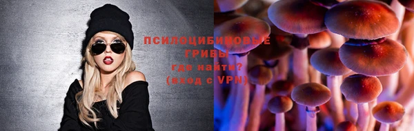 эйфоретик Магас