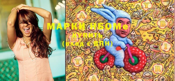 гашик Майский