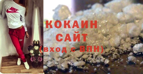 гашик Майский