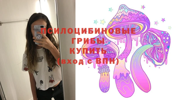 мдпв Магадан