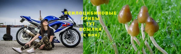 эйфоретик Магас
