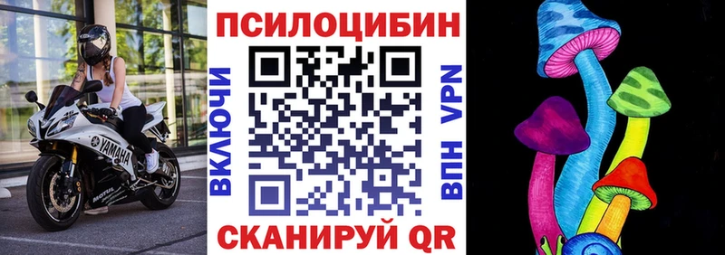 Псилоцибиновые грибы Psilocybe Усть-Илимск