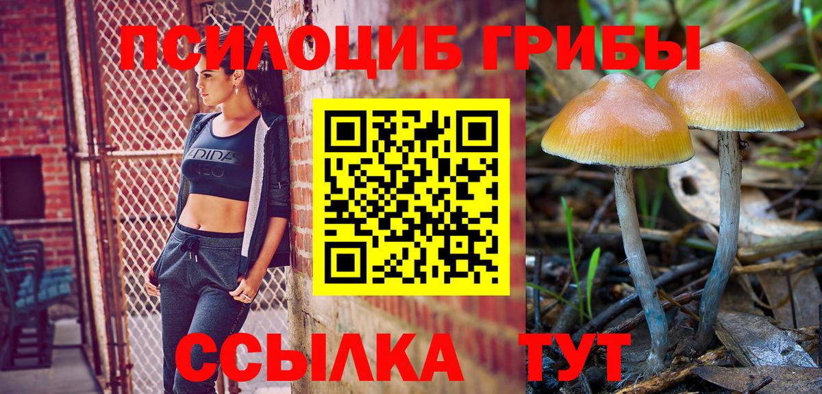 Псилоцибиновые грибы мухоморы Усть-Илимск